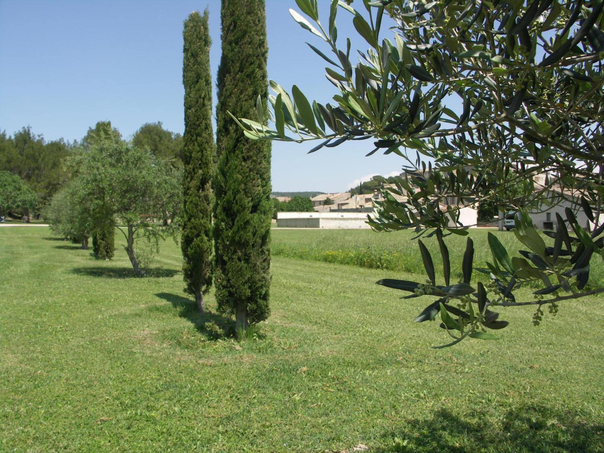 Domaine Saint Martin Hotel Valliguieres Kültér fotó